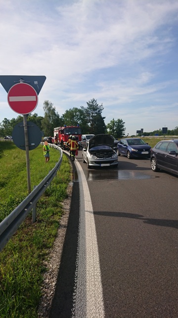 DSC_0096 bearbeitet groß.jpg